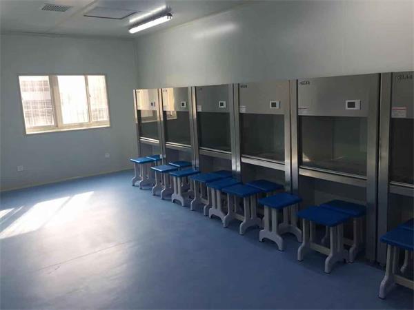 武大附属中学细胞